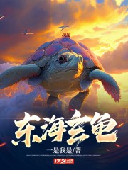 东海龙王龟